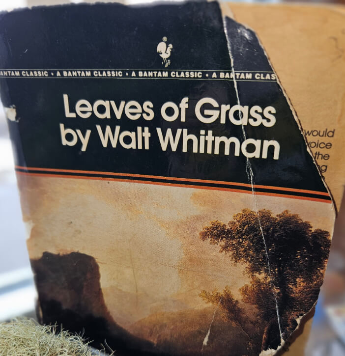 book cover of 1987 Bantam edition of Walt Whitman's Leaves of Grass.